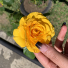 Joana L. Joana L.