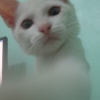 Vinicius M. Vinicius M.