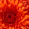 Edilene L. Edilene L.
