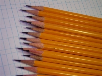 Gestão e Organização Escolar