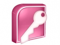 Access 2013 na Prática Avançado