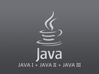 JAVA SE I + JAVA SE II + JAVA SE III