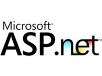 ASP.NET + ASP. NET MVC