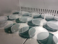 Biologia - Microbiologia