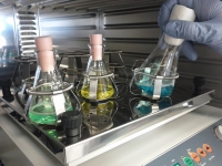 Química - Funções orgânicas