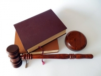 Direito Constitucional: Direito e Garantias Fundamentais