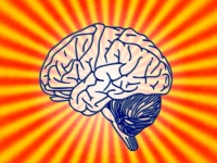 Psicologia do Desenvolvimento