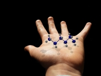 Bioquímica Básica - Metabolismo