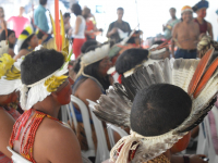 Fundamentos teóricos y metodológicos para la enseñanza de la lengua materna