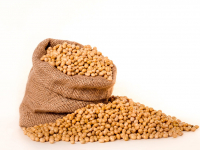 Cacterísticas agronómicas de la soya en función de las densidades de siembra y profundidad de deposición de abono