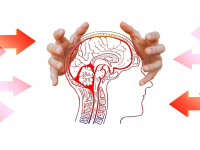 la arquitectura de la mente