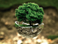 Fundamentos gerais do direito ambiental