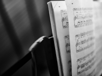 Música: trilha sonora da vida