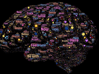 Neurología y Enfermedades neurológicas