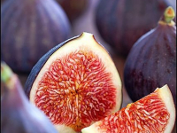 Nutrição: adequação alimentar e suplementação