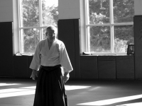 How to Do Aikido
