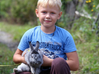 How to Take Care of a Pet Rabbit