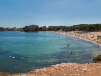 New Zealand Exchange