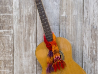 Fingerstyle Guitar Lessons For Beginners