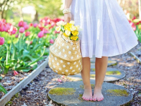 Getting Started - How to Start Your First Garden