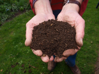 Compost and Composting