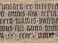 Basic Latin Essentials