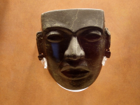 Introduction to Anthropology