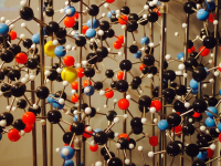 Covalent Bonds & Molecules