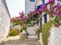 Como arreglar tu jardín o tu casa