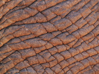 Wrinkles Treatment And Prevention