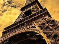 French For Beginners