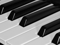 Piano Lessons for Begginers