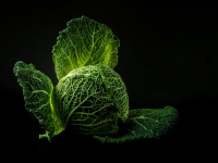 Healthy Food Choices