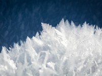 Winter Special! - DIY Beauty Tips for Winter