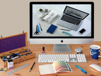 ReactJS Basics Course