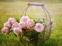 P. Allen Smith Classics