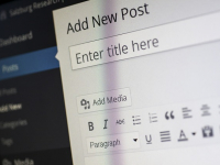 WordPress Tricks for Success