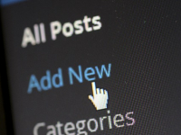 Getting the Most From WordPress