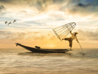 Como pescar peces cangrejos y pulpos 