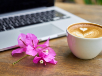 Using Excel & Spreadsheets