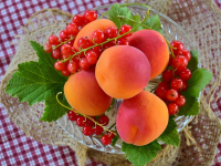 Mediterranean Food Recipes