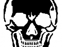 Huesos del Craneo y de la Cara