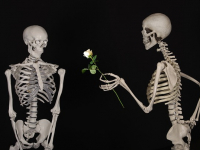 Anatomia Esqueleto Axial