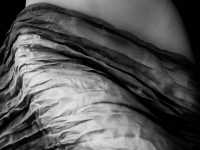 Danza del vientre, bollybood, samba y otros bailes