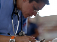 Consejos veterinarios