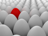 Logo Design & Designer Review