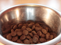 Snouts - snacks y repostería para perros 100% natural