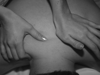 Masajes para animales