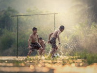 Freestyle tutoriales