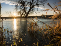 Diseño de Redes de Distribución de Aguas